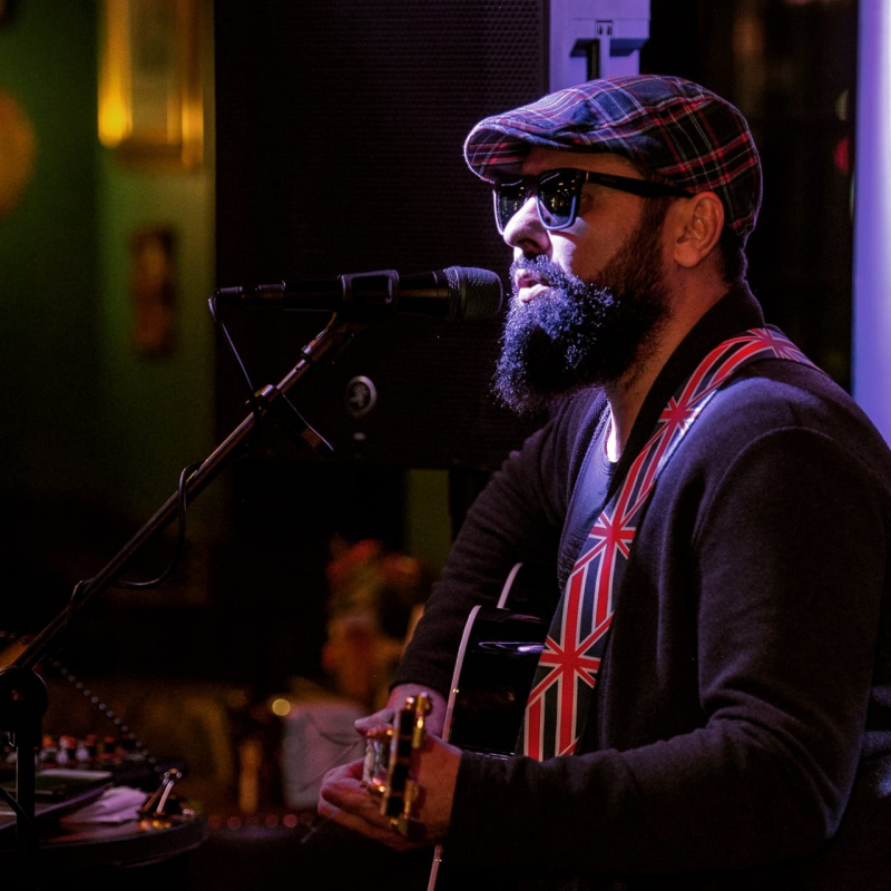 Концерт Владимира Ревицкого