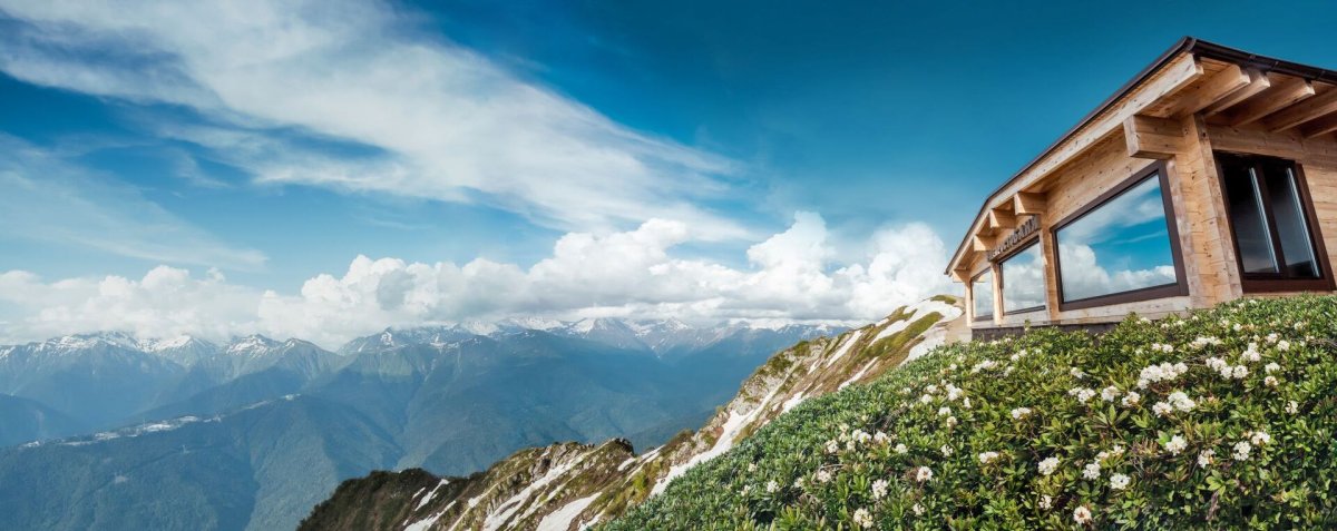 Свадьбы и праздники