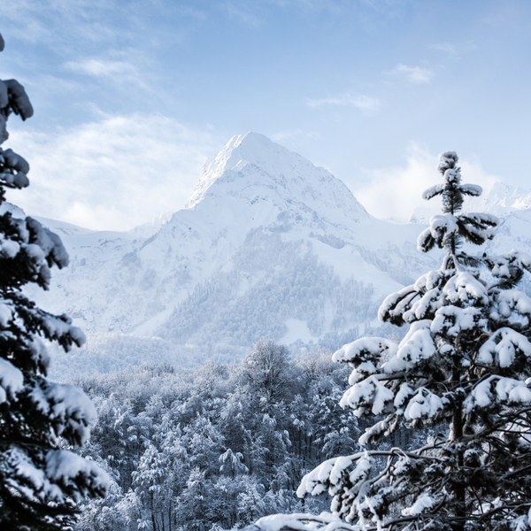 Предложение для жителей ЮФО