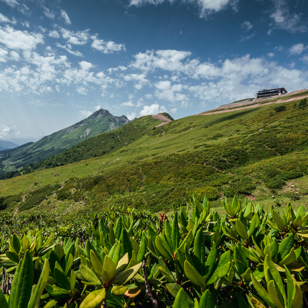 Сочинский Национальный парк