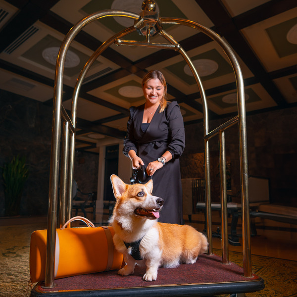 С питомцем в горы