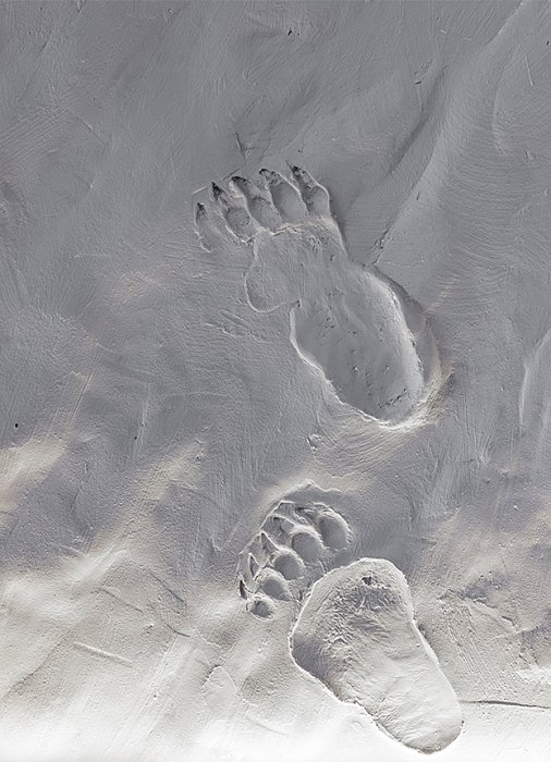 Интерьеры Хмели Сунели